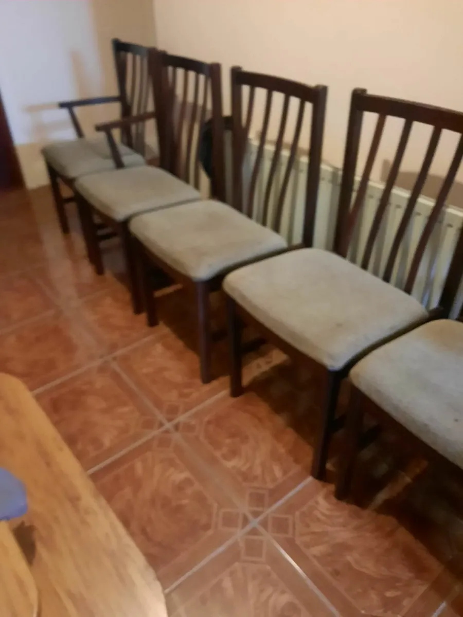 Kitchen chairs - Image 1