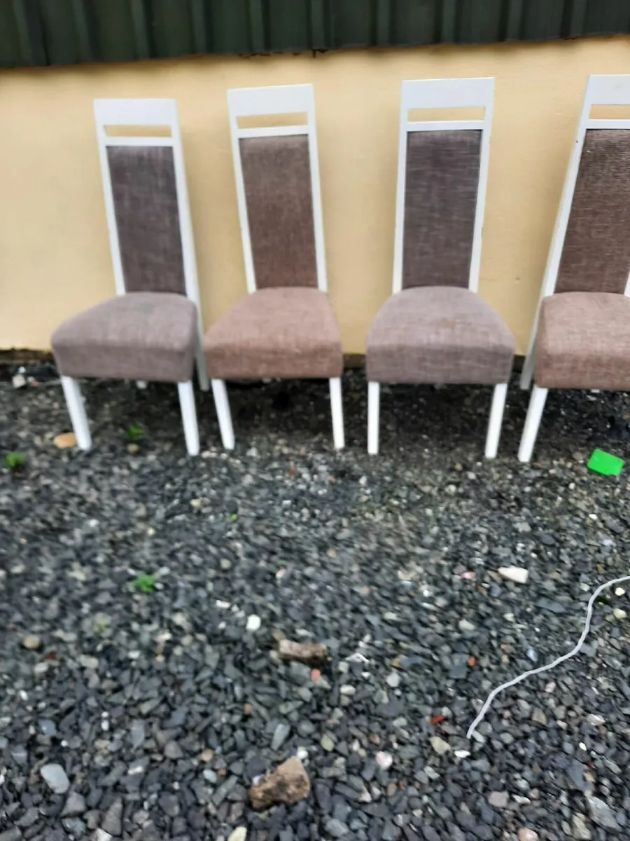 Kitchen chairs - Image 1