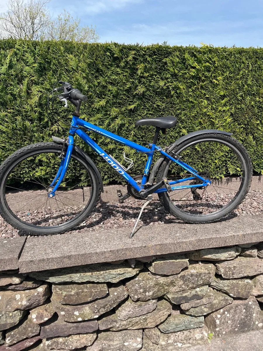Bicycle - Image 1