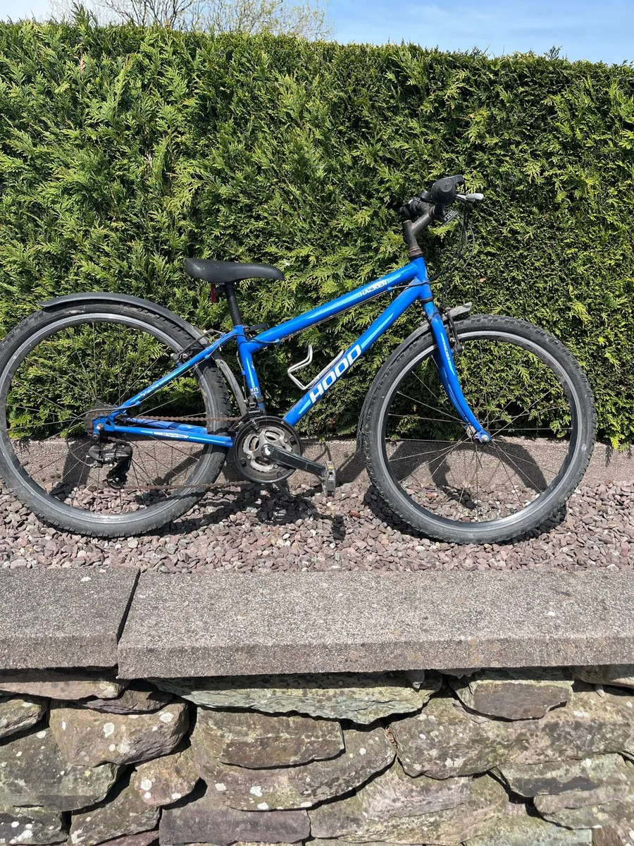 Bicycle - Image 2