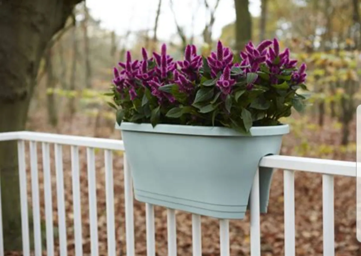 Flower pot - Image 1