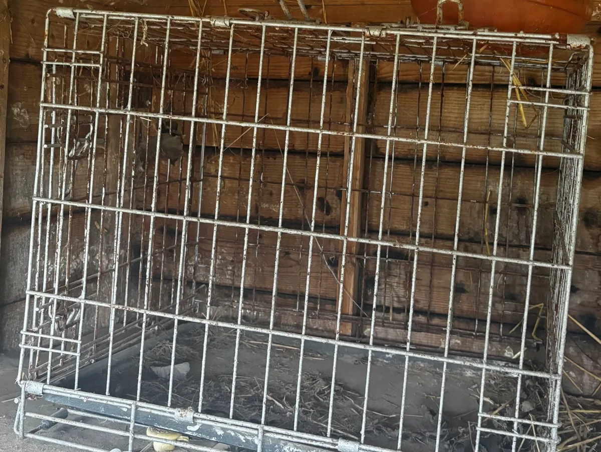 Rabbit cages - Image 2