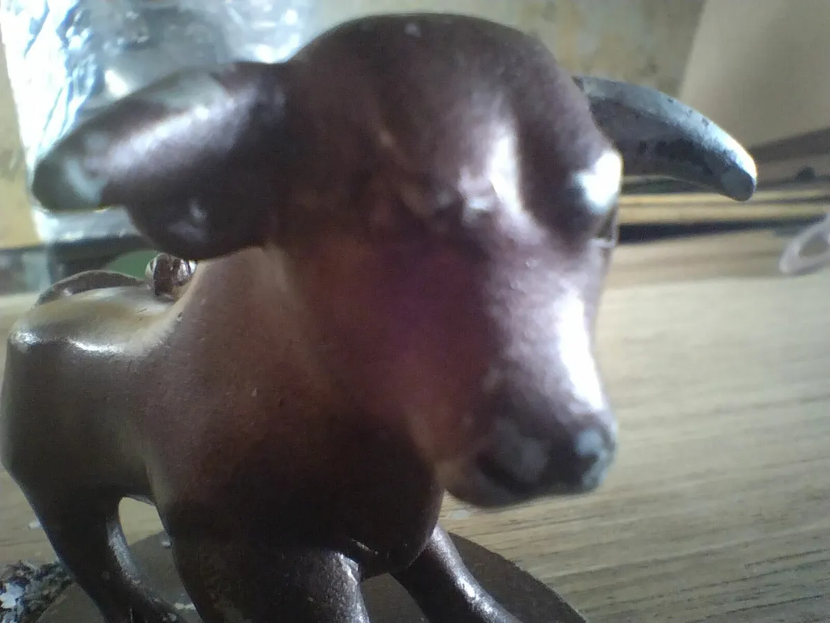Vintage pair of Bulls - Image 2