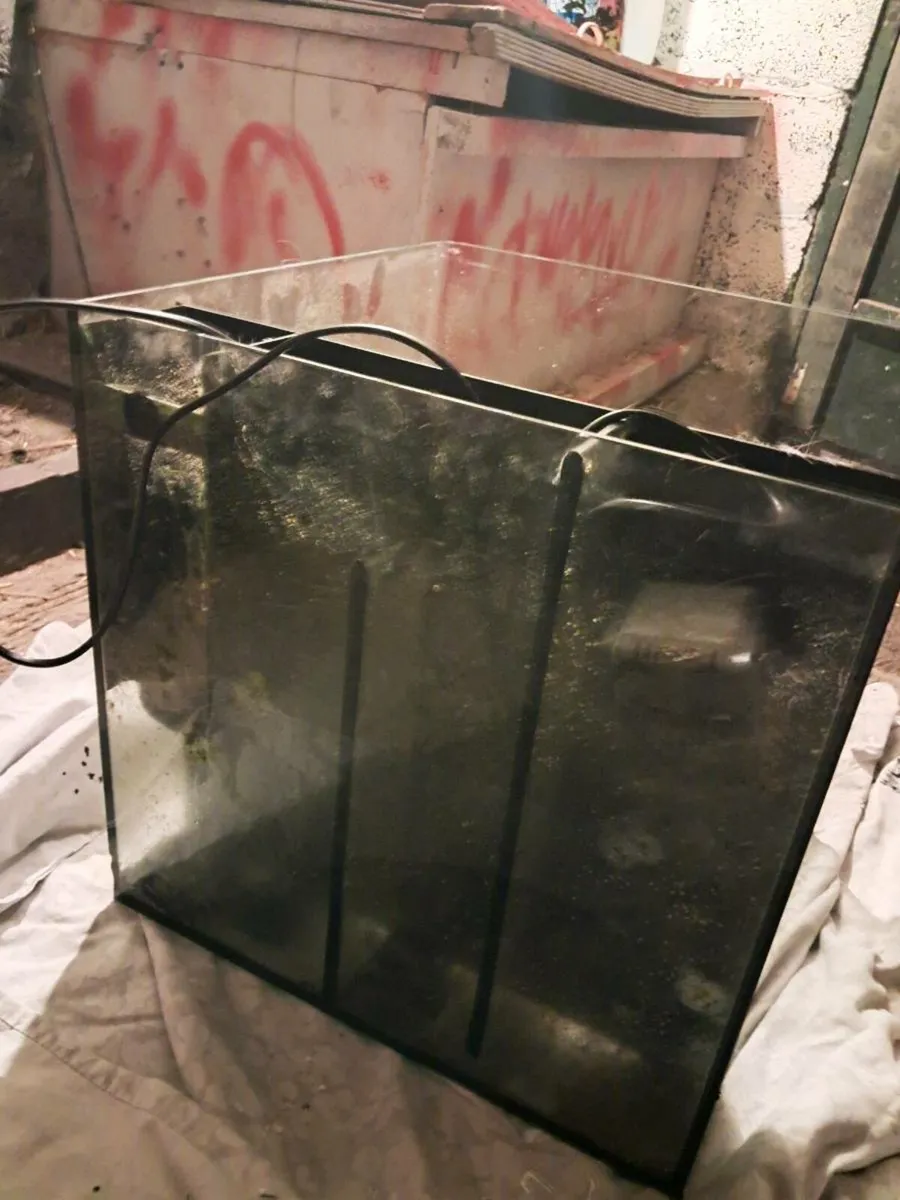 75 litre fish tank - Image 1