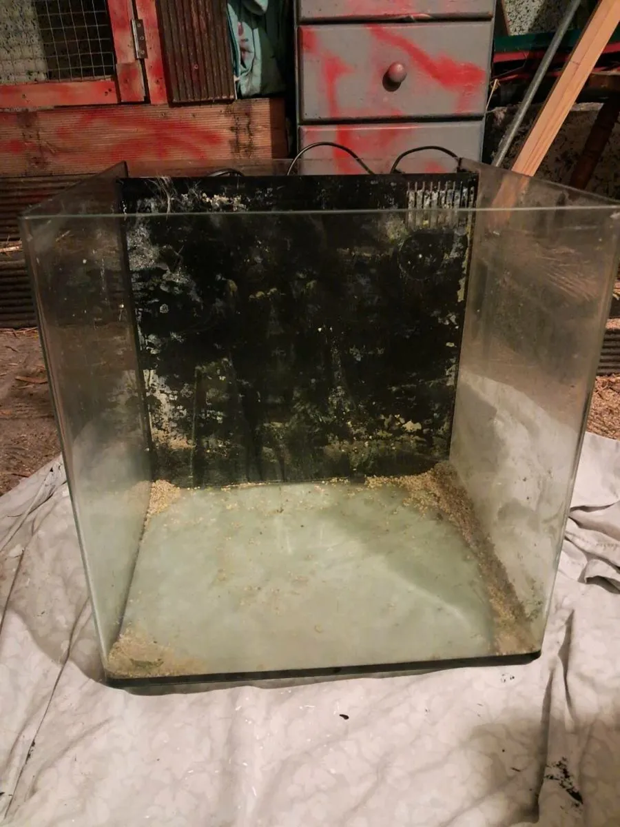 75 litre fish tank - Image 2