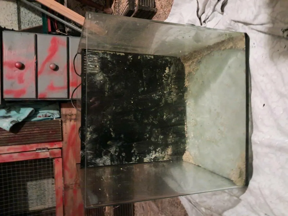 75 litre fish tank - Image 3