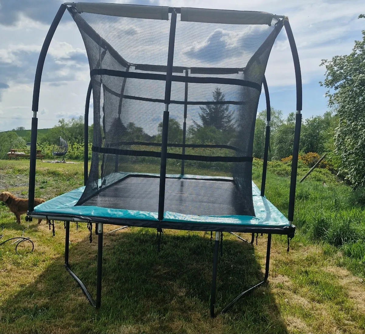 Trampoline - Image 2