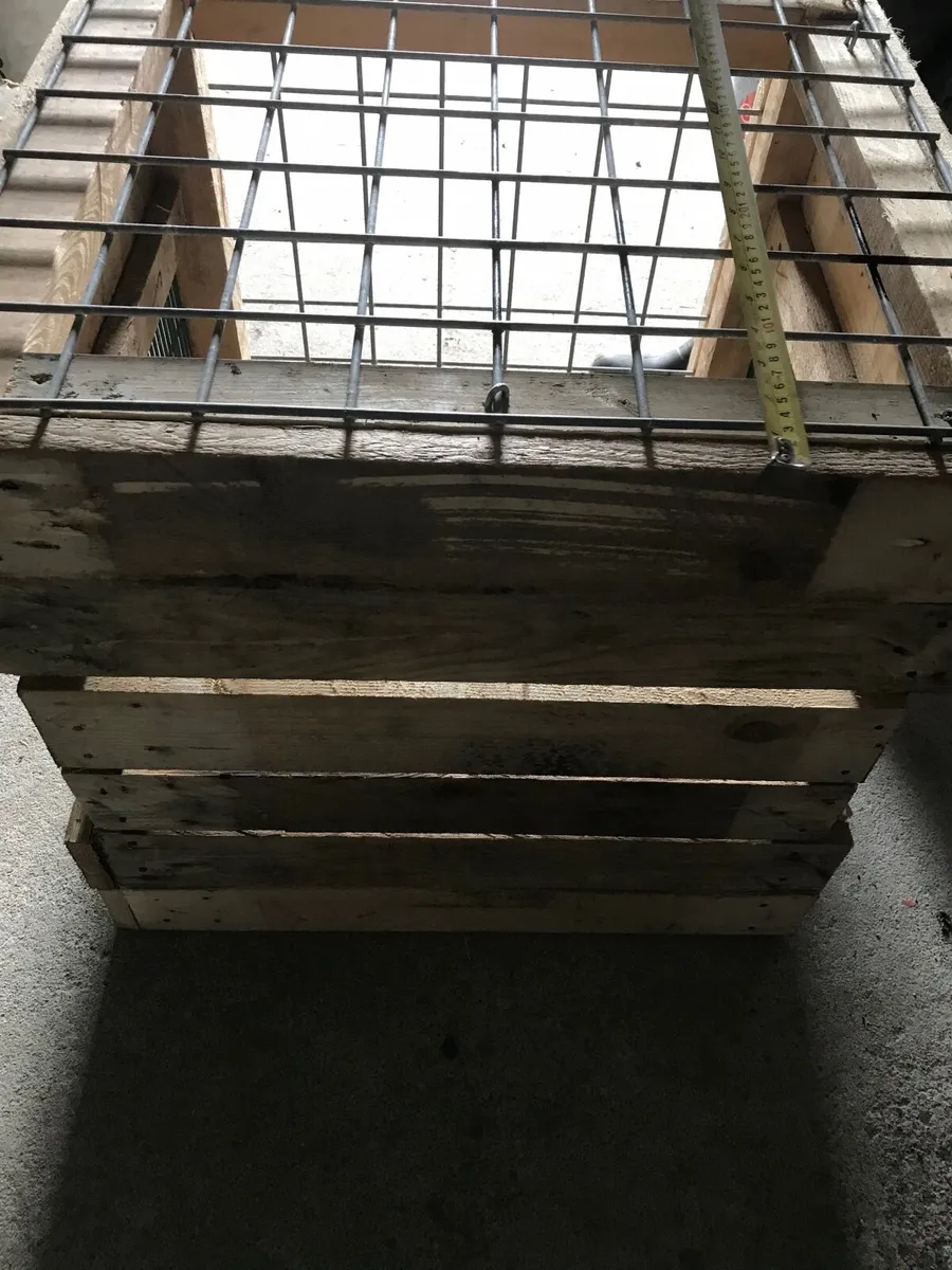 Single  animal carrier - Image 1