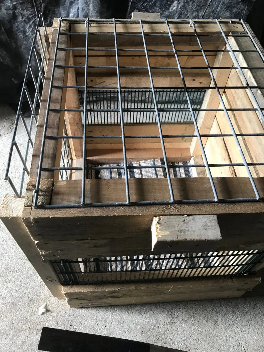 Single  animal carrier - Image 3