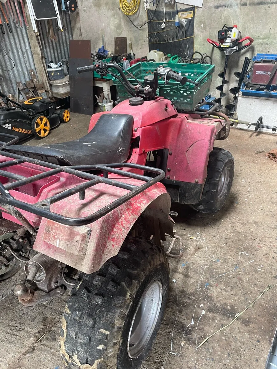 350cc quad - Image 2