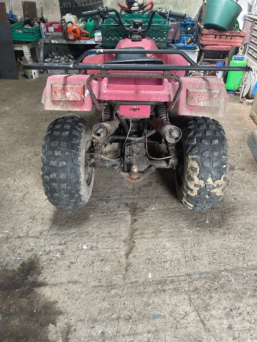 350cc quad - Image 3