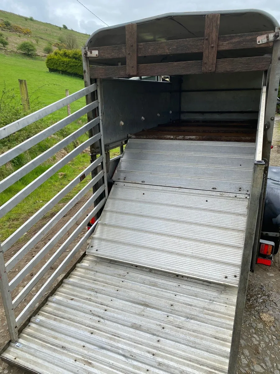 10x5 Ivor Williams trailer with sheep decks - Image 2