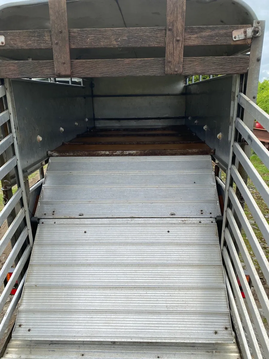 10x5 Ivor Williams trailer with sheep decks - Image 3