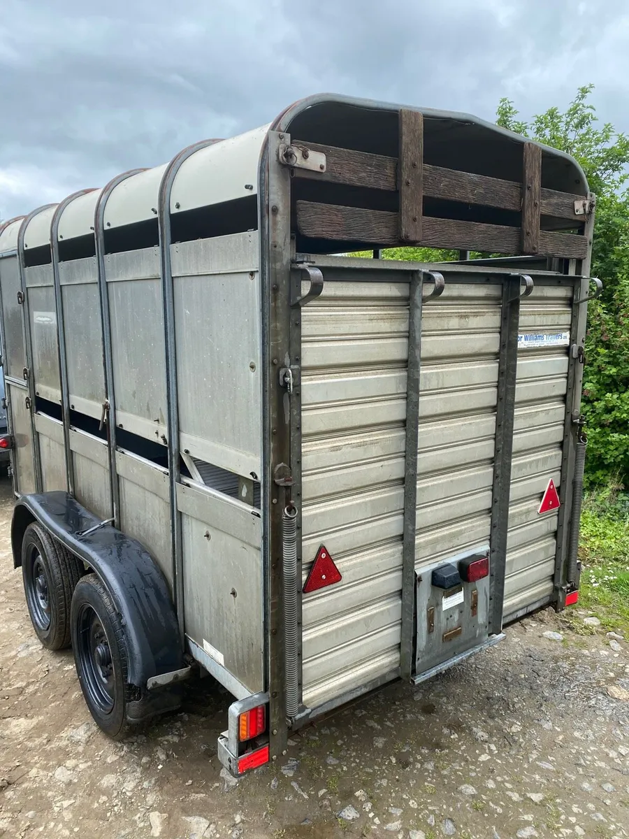 10x5 Ivor Williams trailer with sheep decks - Image 4