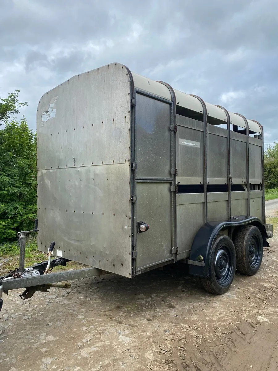 10x5 Ivor Williams trailer with sheep decks - Image 1