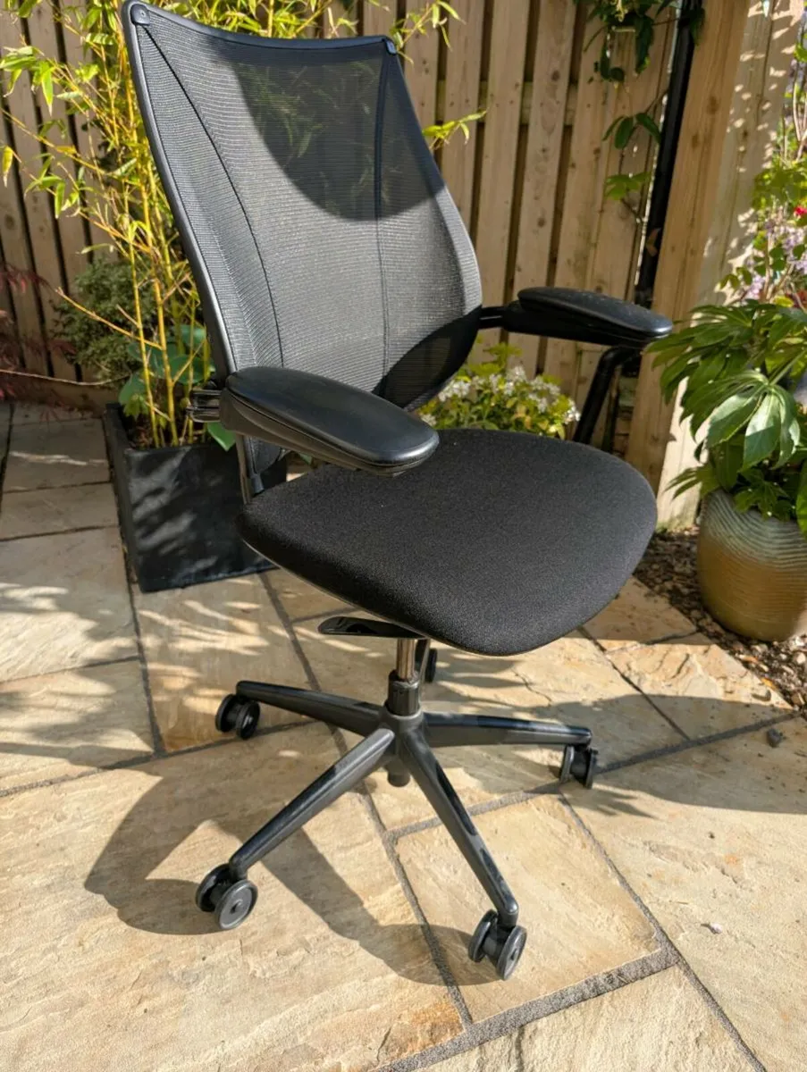 Ergonomic office chair - Image 1