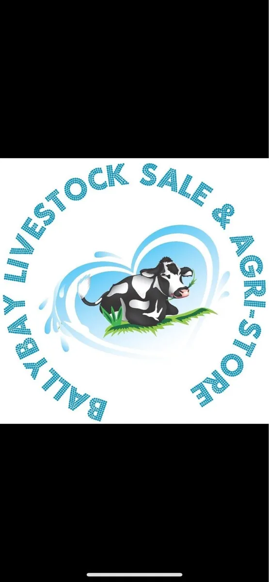 Ballybay Mart Dairy Sale Wednesday 14th of May