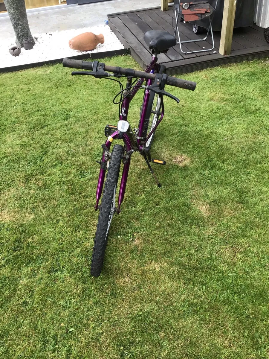 Bicycle - Image 4