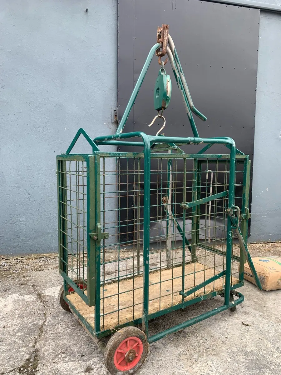 Weighing scales - Image 2