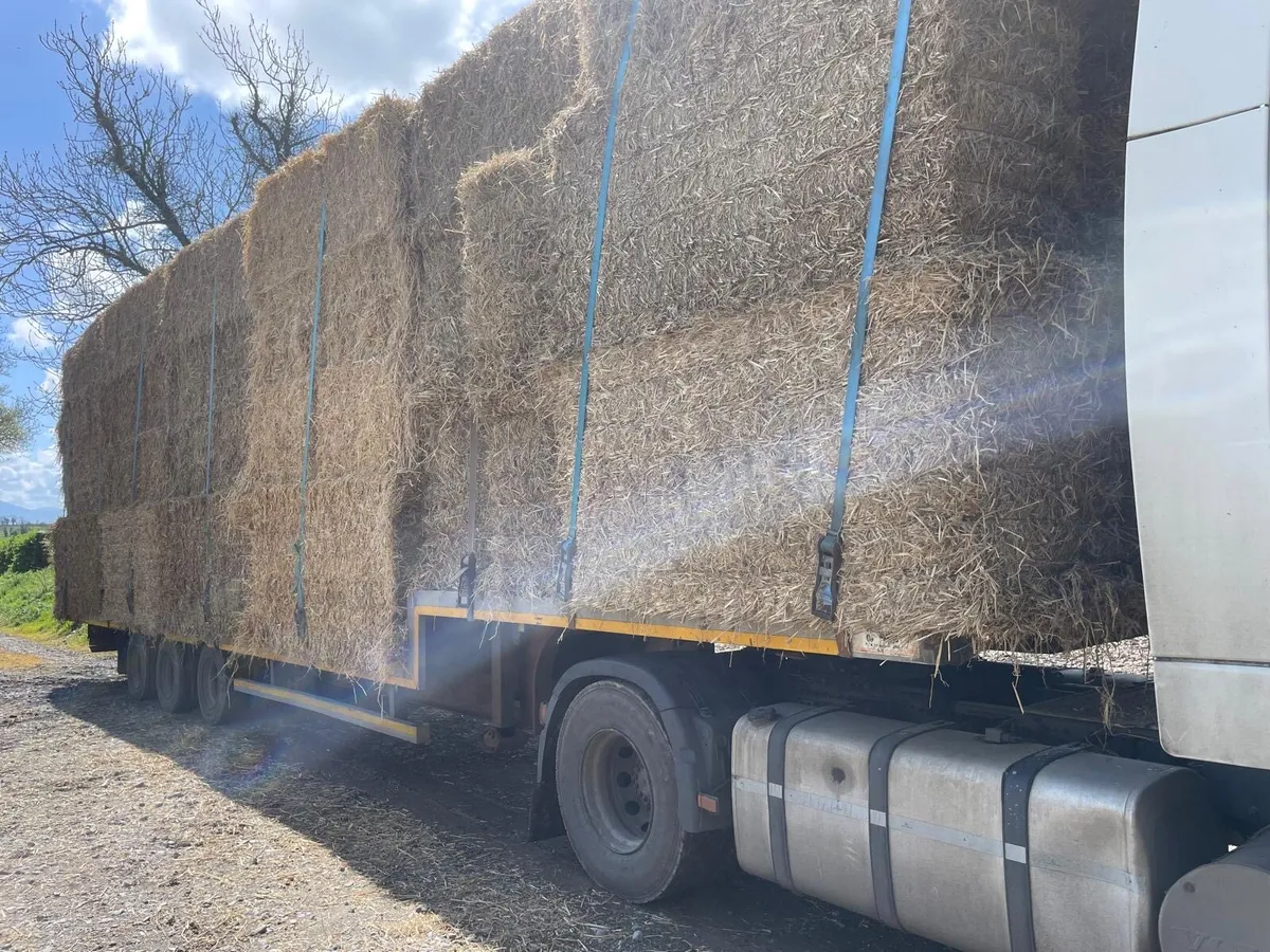 Freuhauf step frame trailer - Image 2