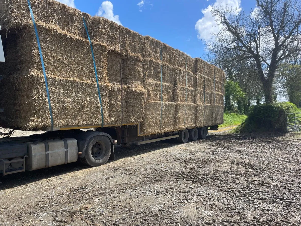 Freuhauf step frame trailer - Image 3