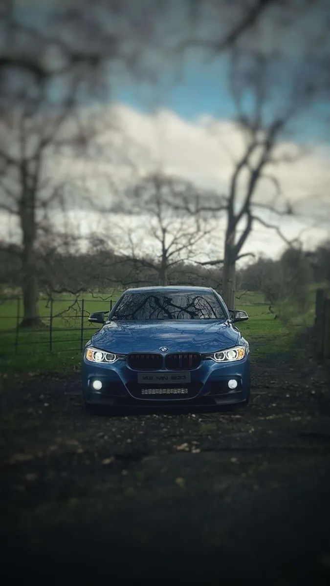 318d f30 msport - Image 3