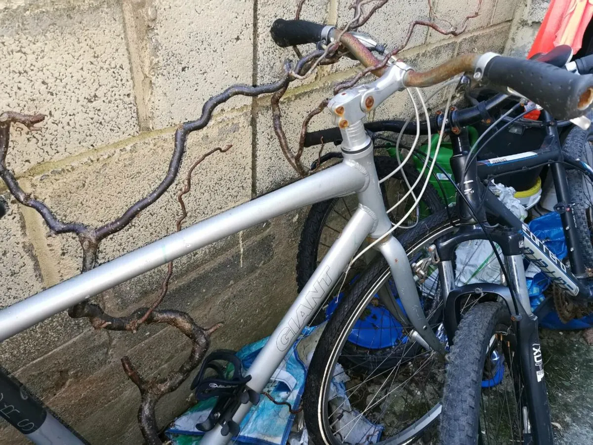 Giant Bicycle Frame - Image 2