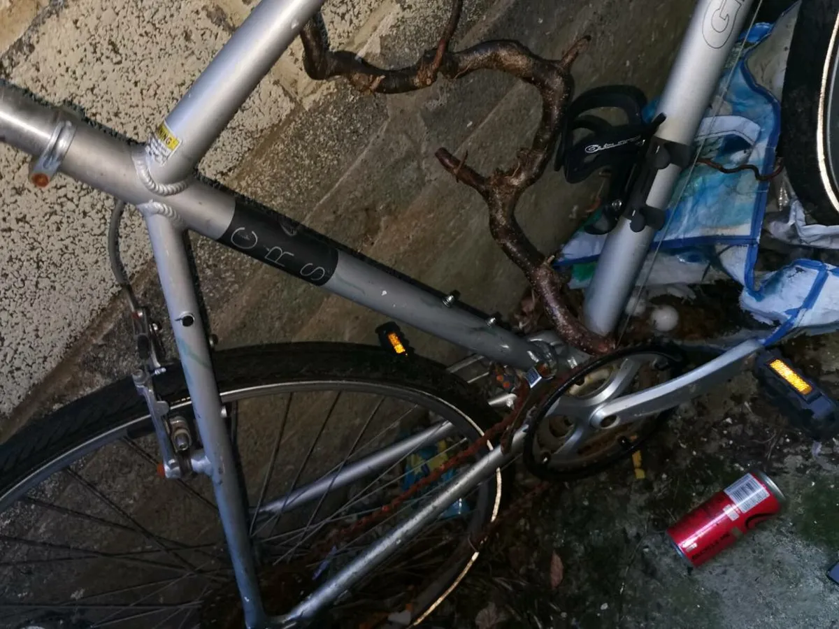 Giant Bicycle Frame - Image 3