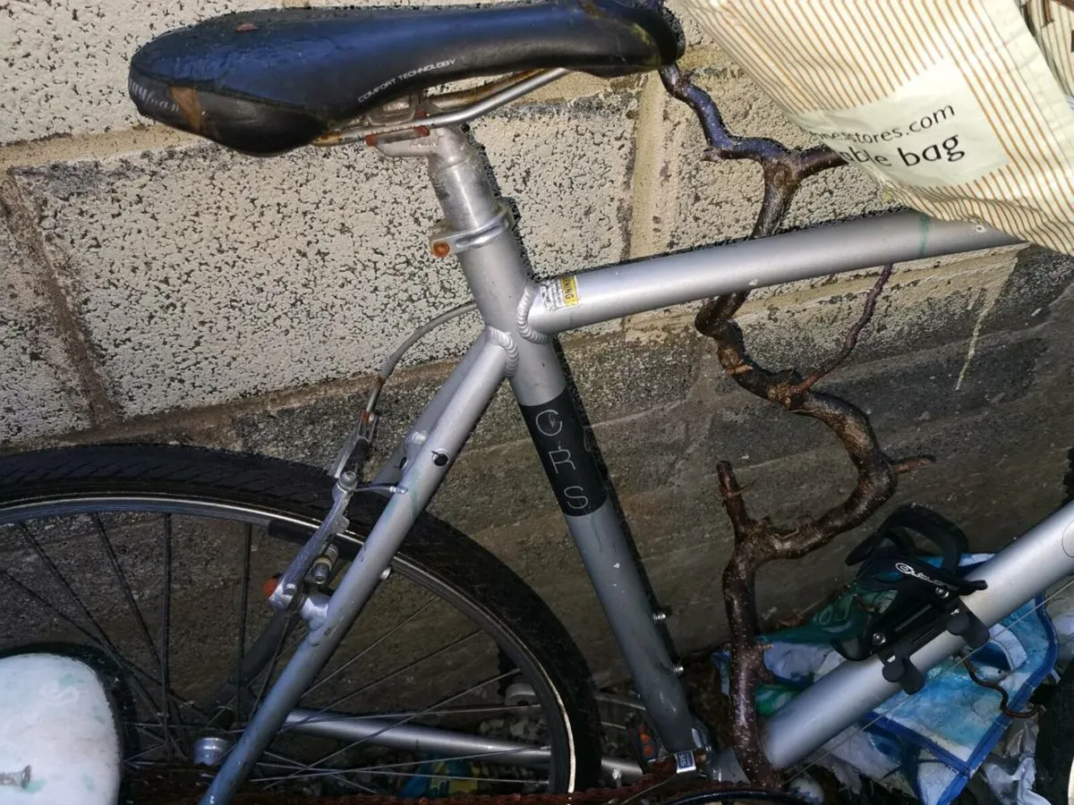 Giant Bicycle Frame - Image 4
