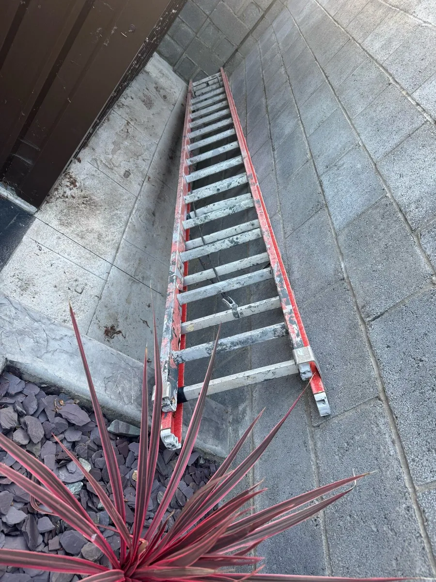 Fiberglass Ladder