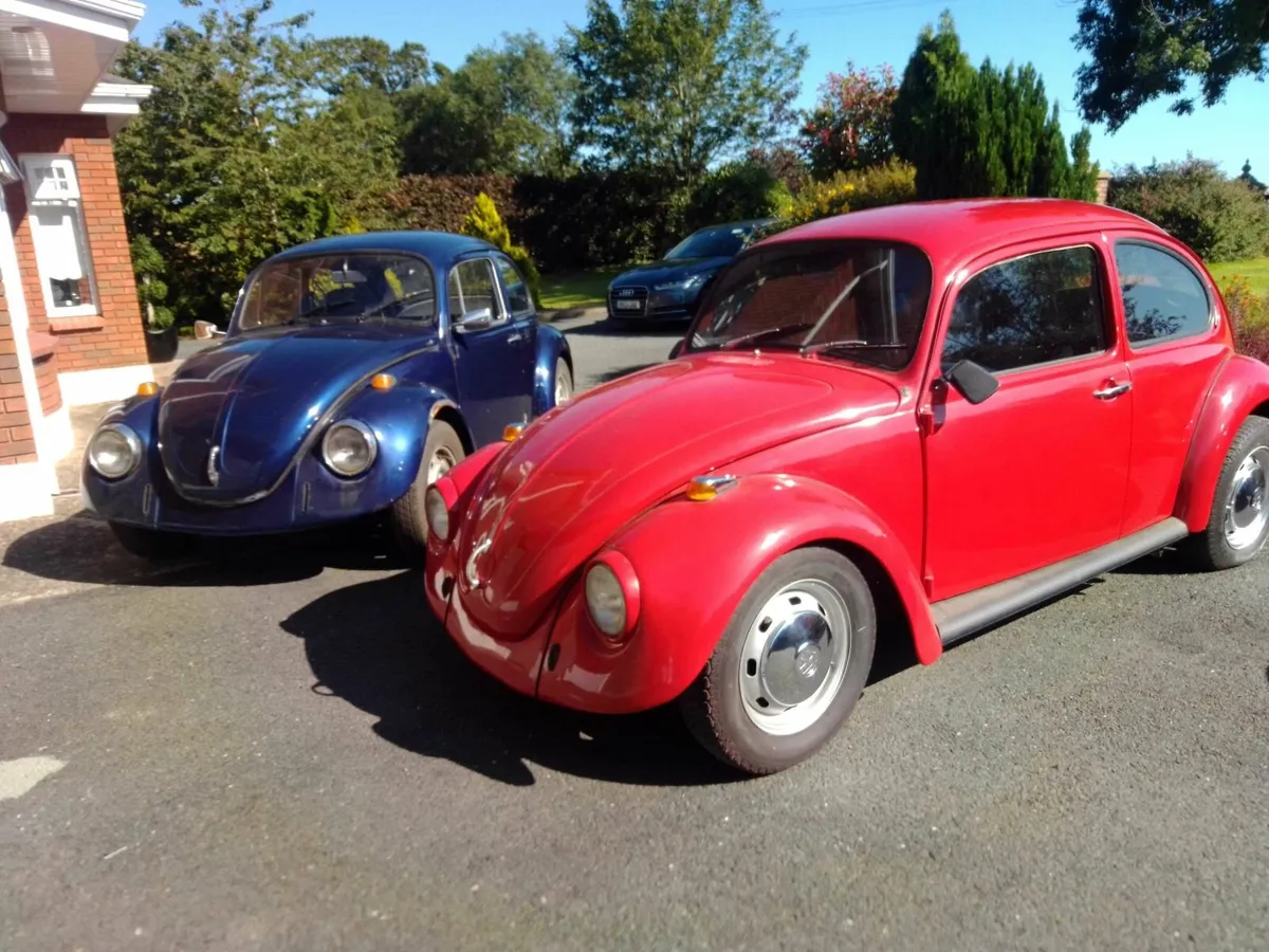 Beetle - Image 2