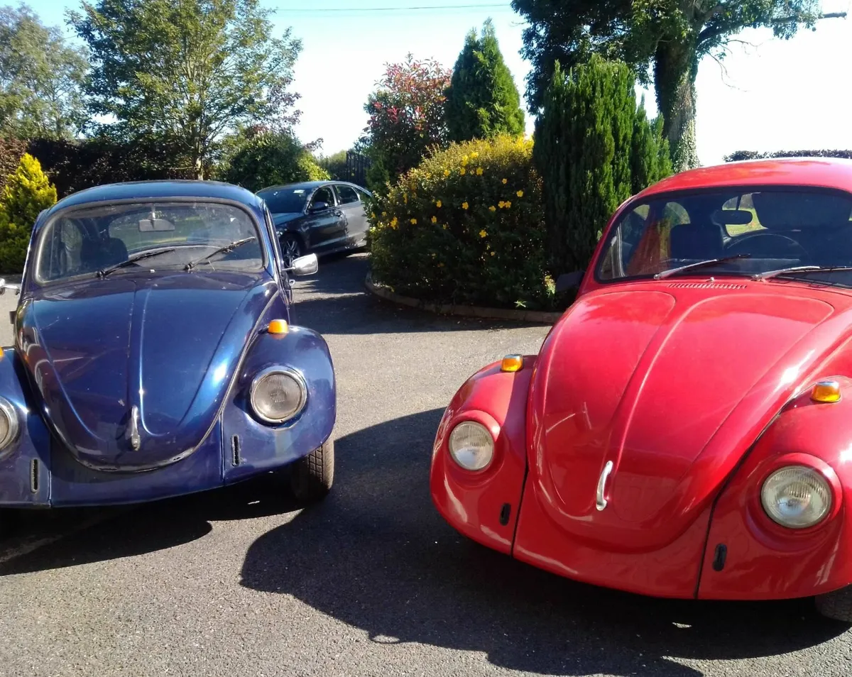 Beetle - Image 1