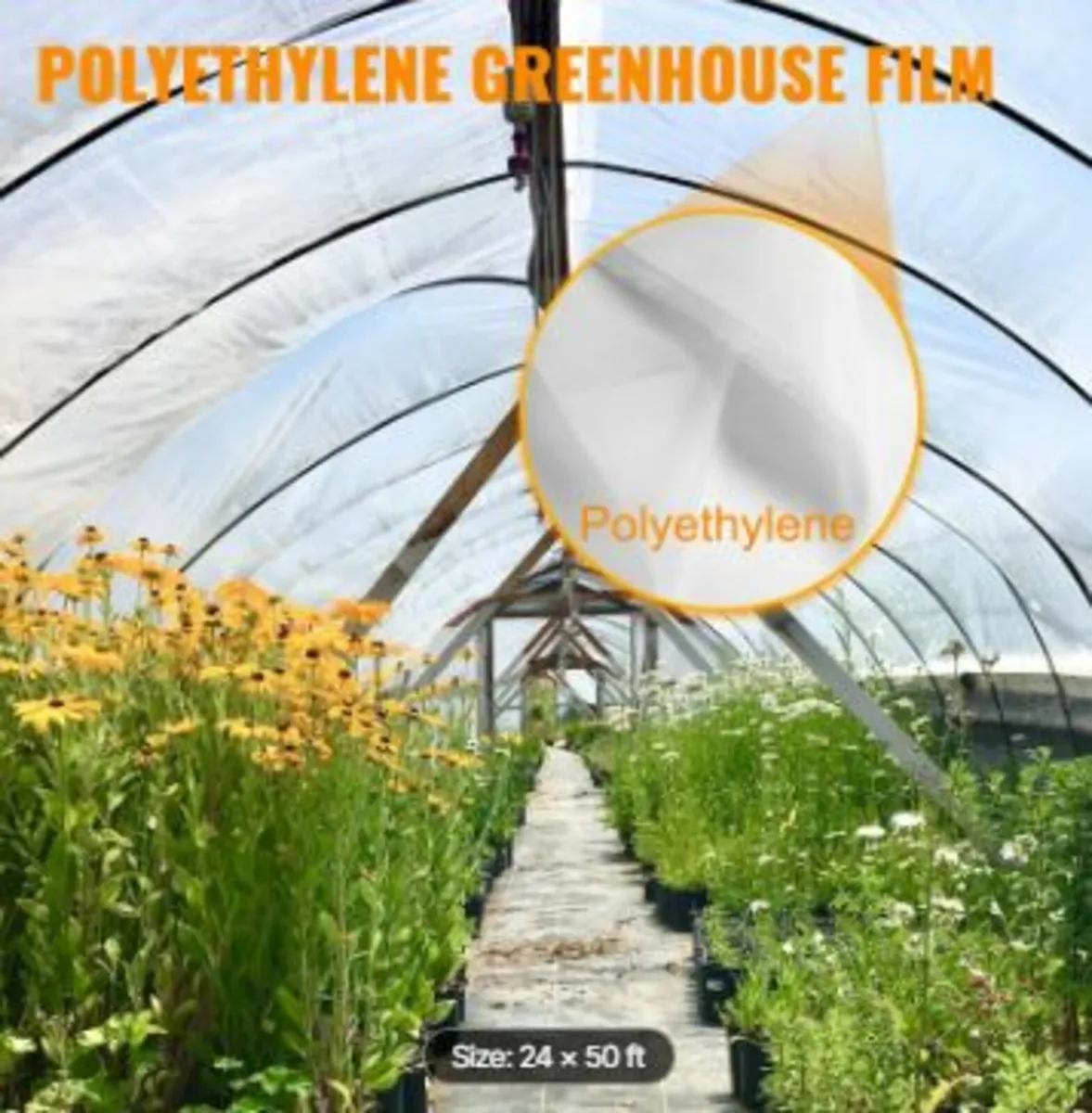 Greenhouse Film, Greenhouse Polyethylene - Image 2