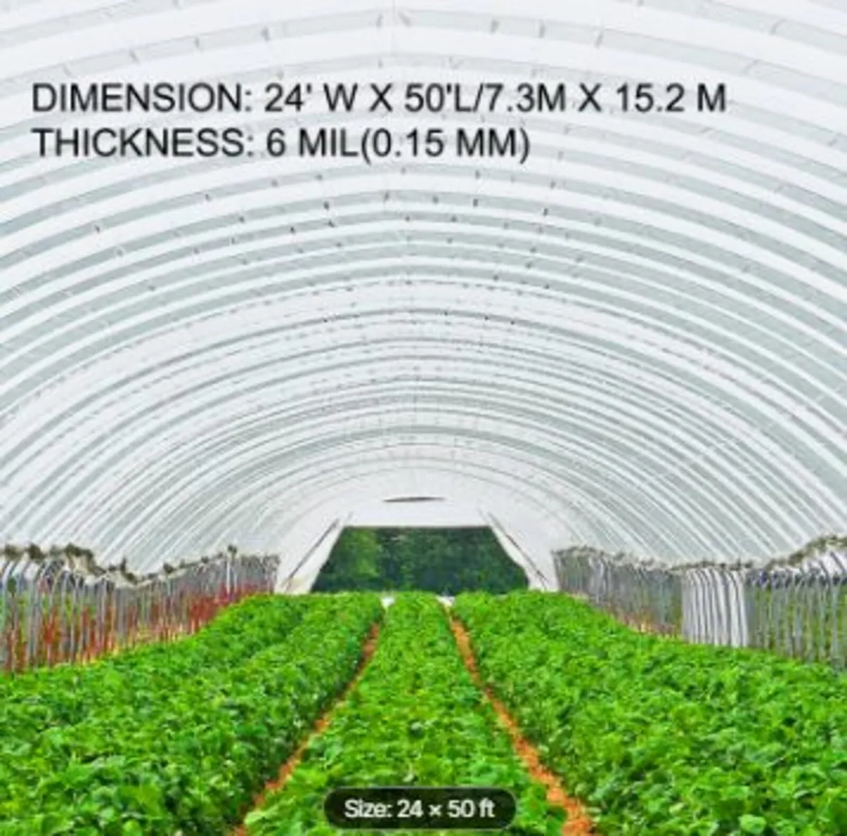 Greenhouse Film, Greenhouse Polyethylene - Image 3