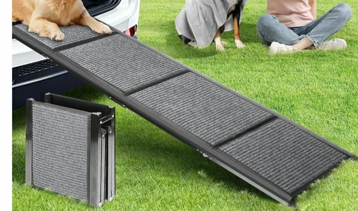 Dog ramp