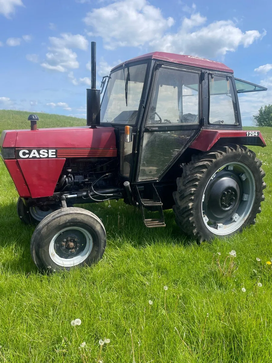Case David brown 1294 - Image 1