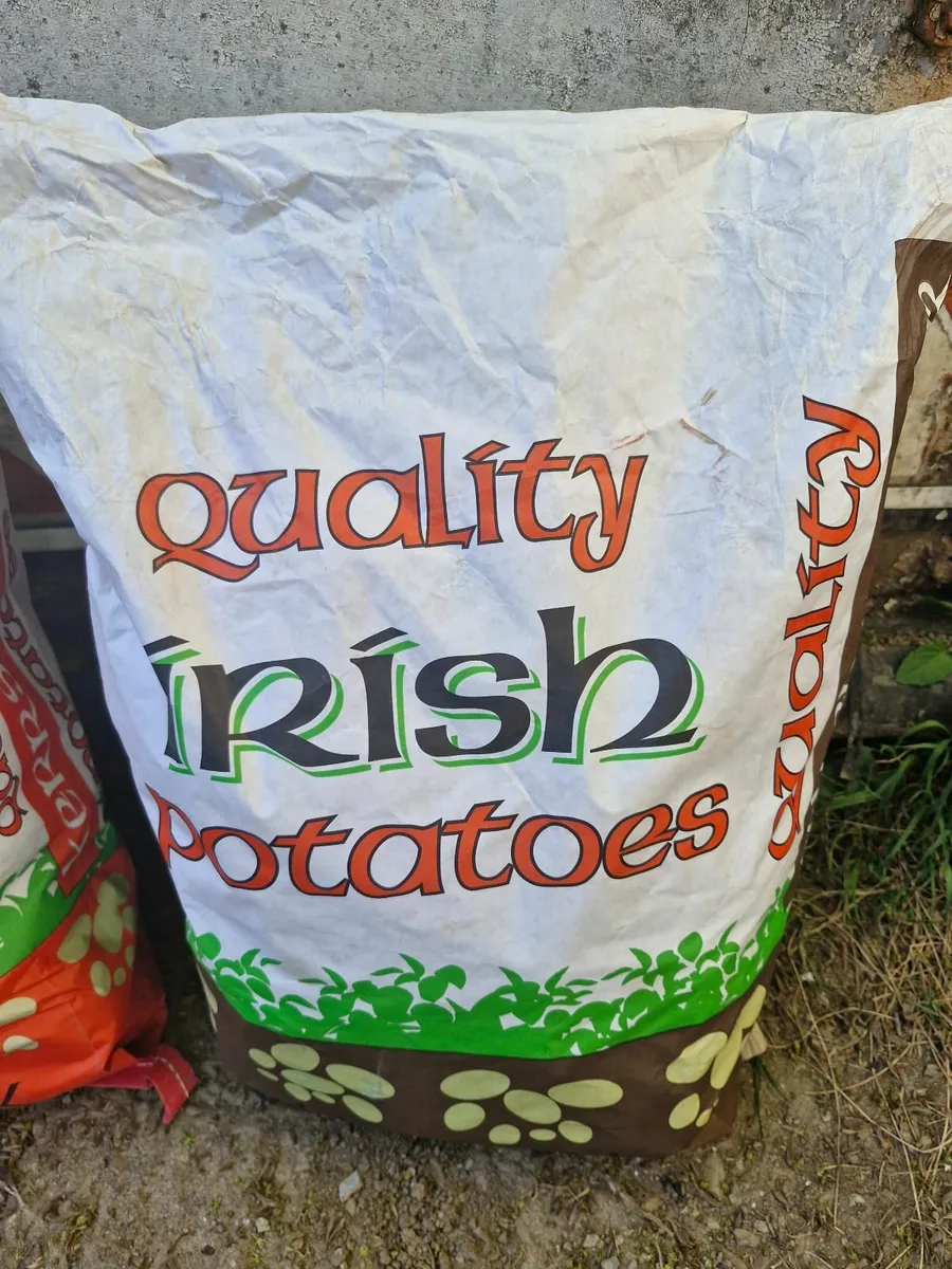 Potatoes - Image 3