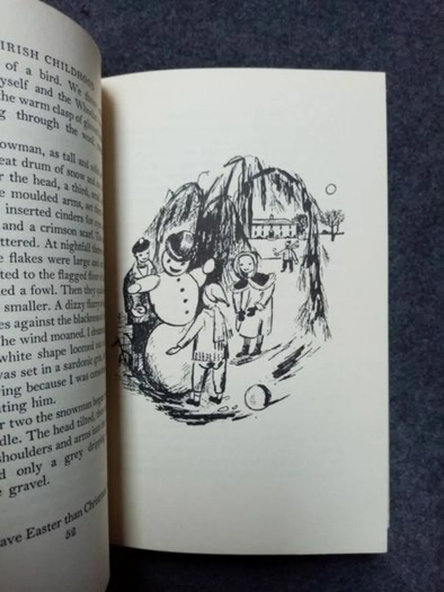 An Irish Childhood - Wicklow Interest Book - Image 3