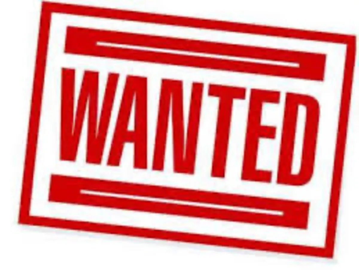 Looking for Mercedes-Benz S-Class 2015-2022
