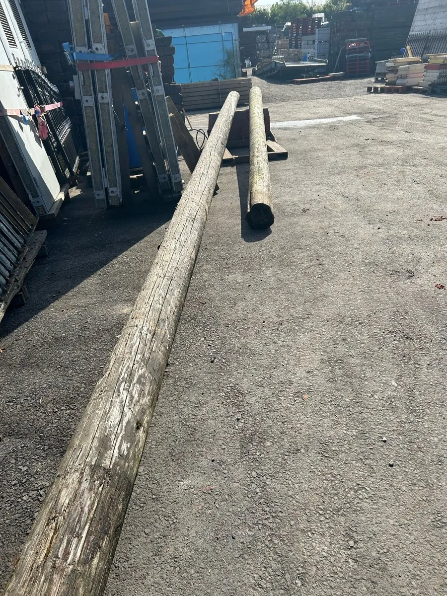 ESB POLE - Image 1