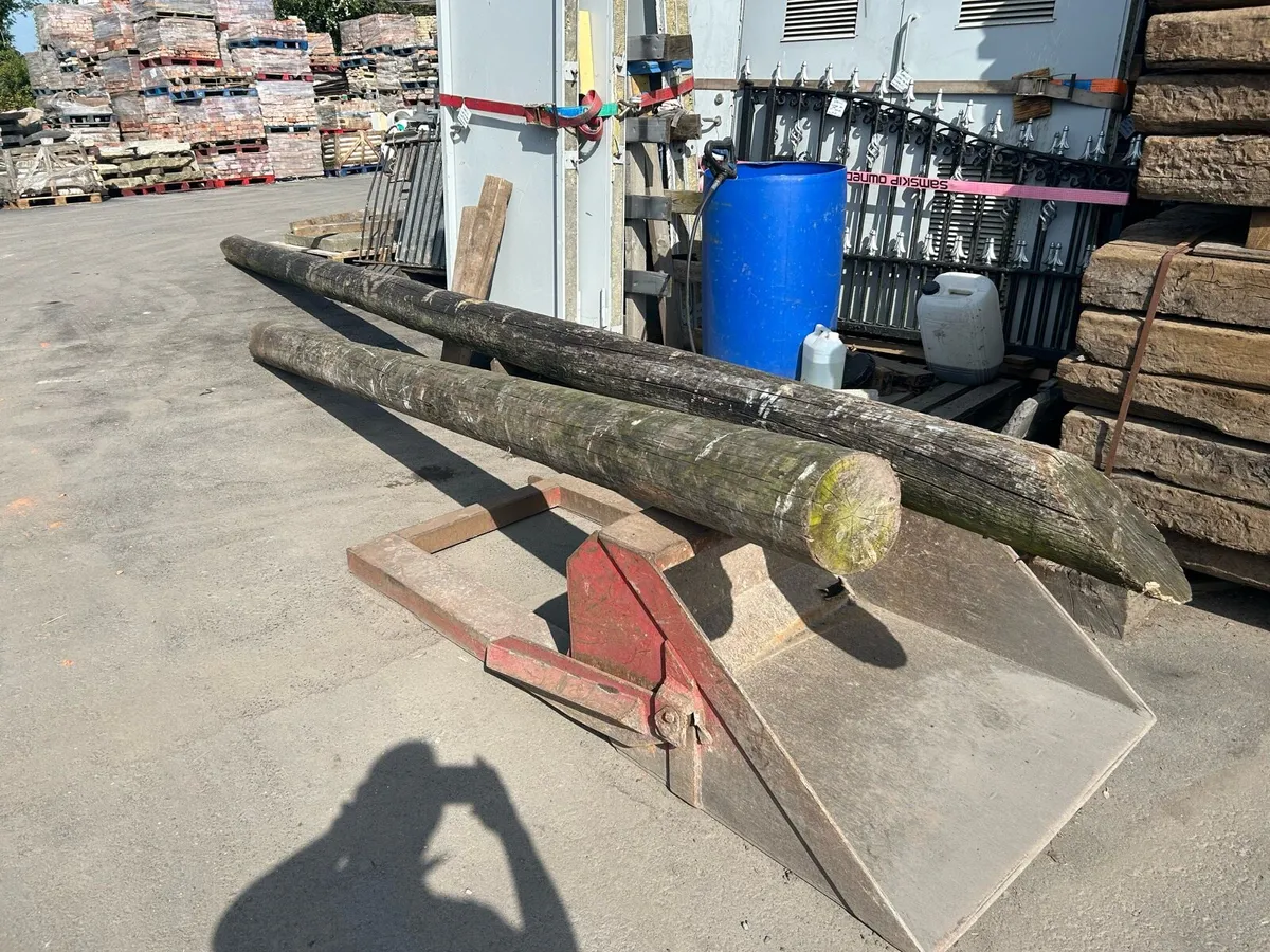 ESB POLE - Image 2