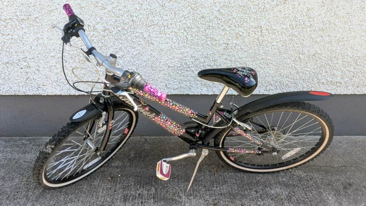 Gem livery Girls Bike