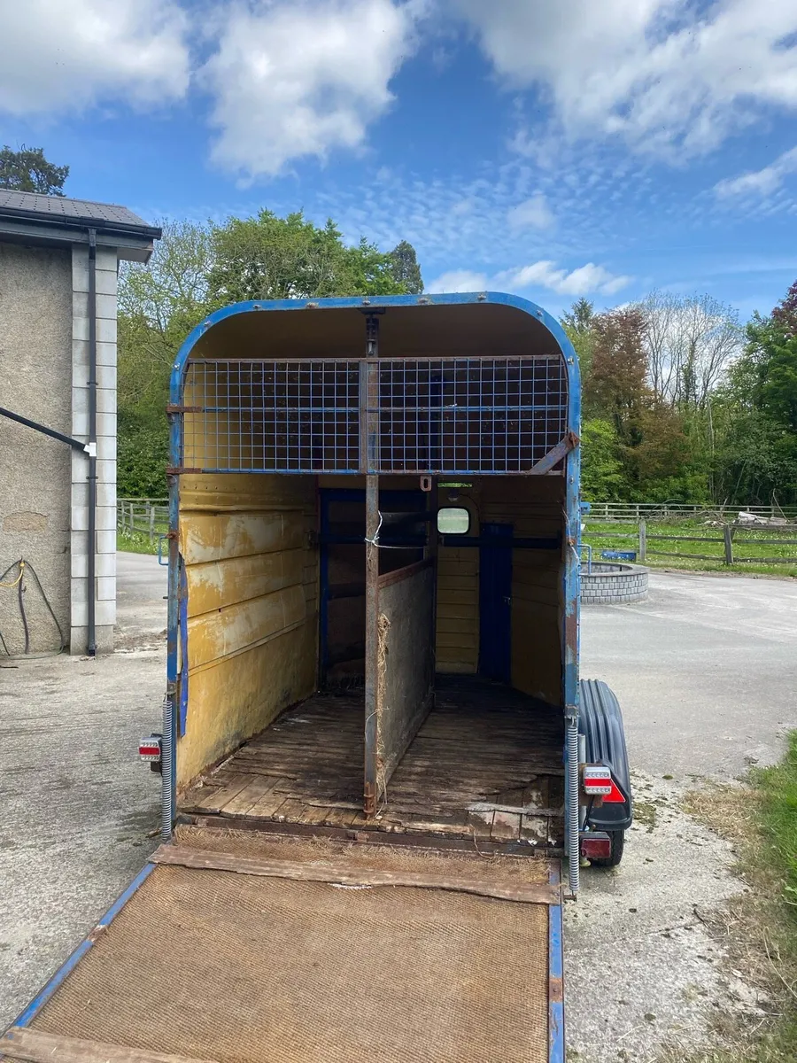 Horse Box - Image 2