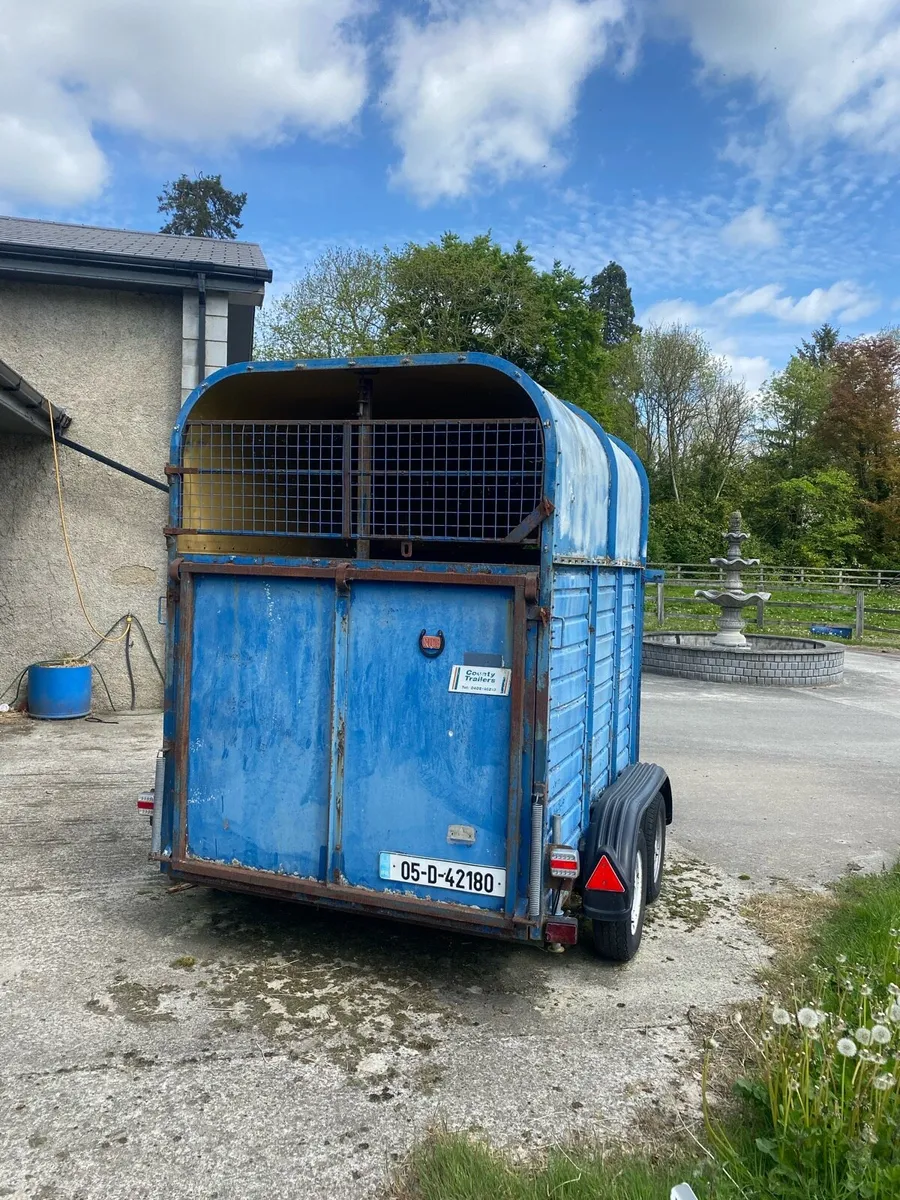 Horse Box - Image 3