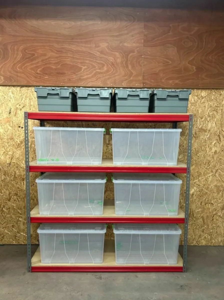 4 teir boltless longspan shelving - Image 2