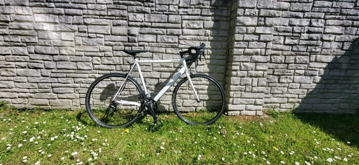 Cannondale Optimo - Image 2