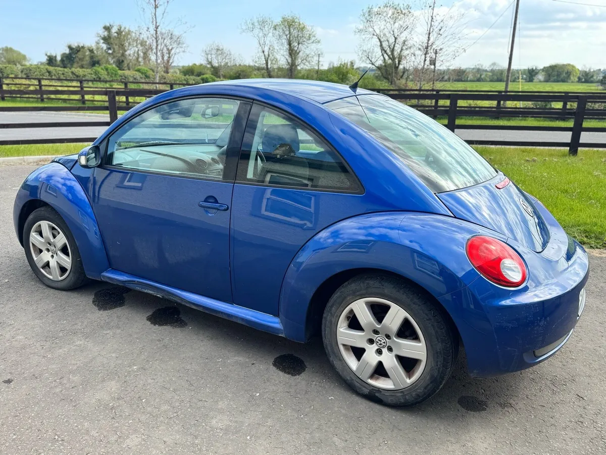 VW Beetle - Image 3