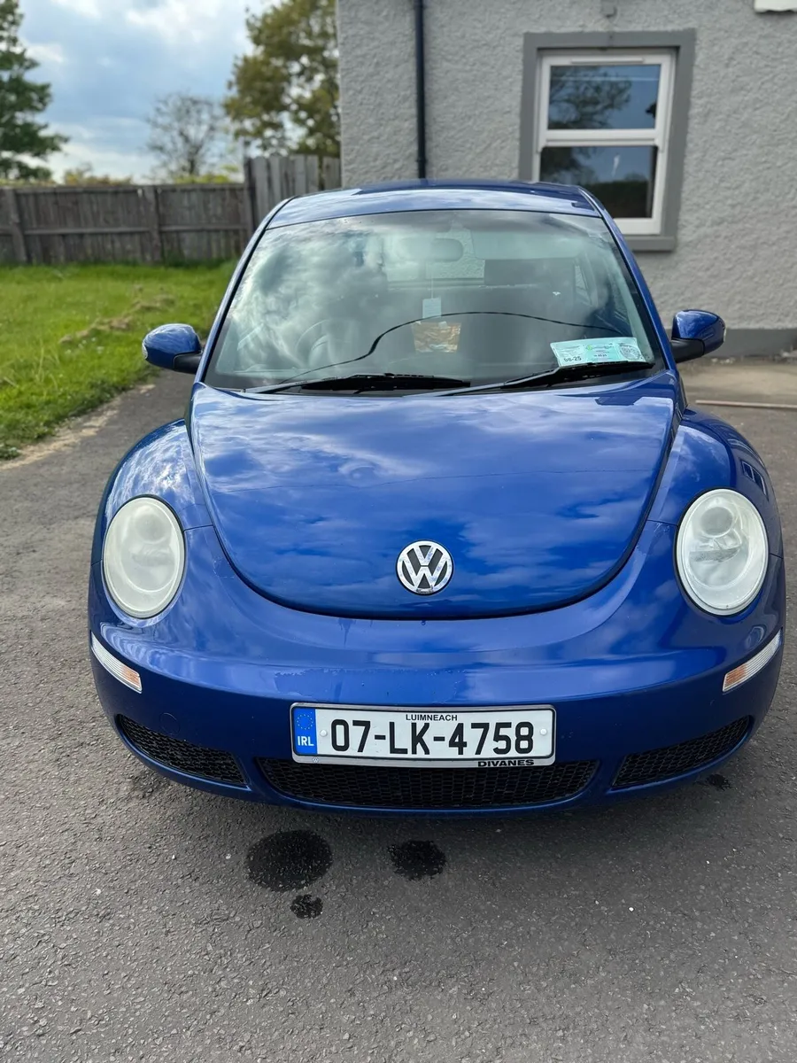 VW Beetle - Image 4