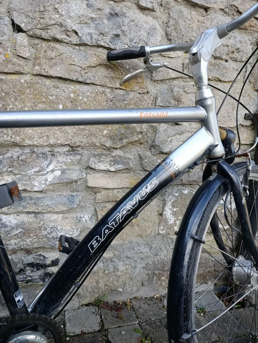 Bicycle - Brand Batavus - Adult - Frame L to XL - Image 3
