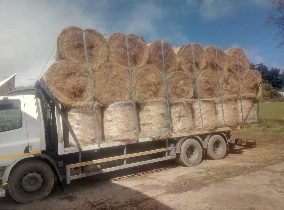 Small square bales of good quality hay - Image 1